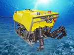 ROV